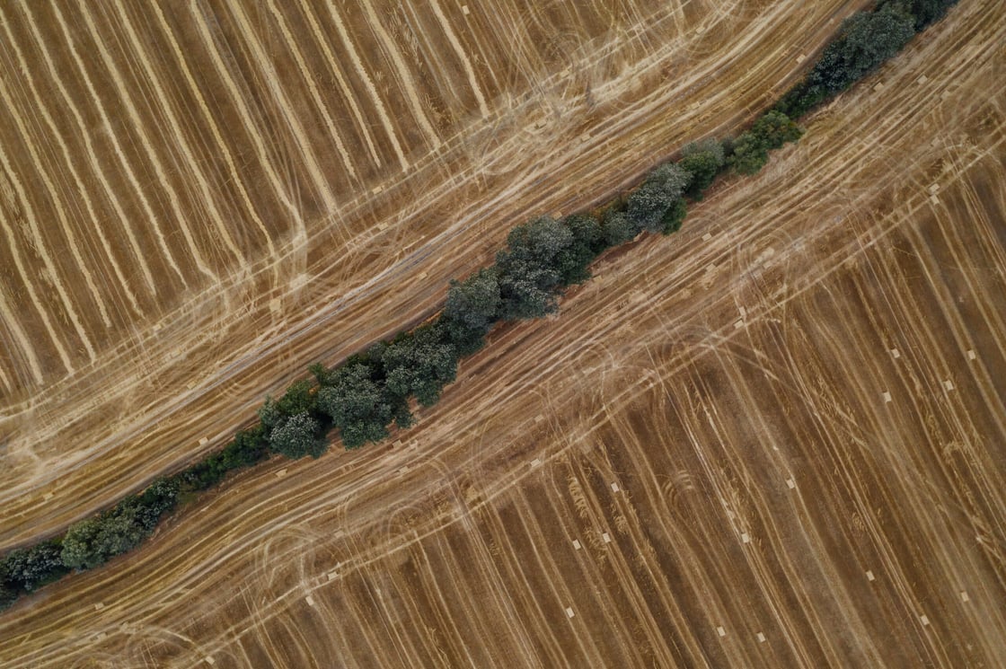marcin-jozwiak-A0wuZJfIAxw-unsplash-scaled